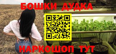 гашик Обь