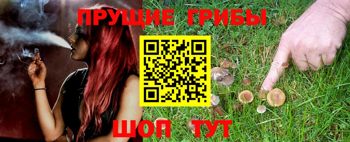 Псилоцибиновые грибы Magic Shrooms Тосно