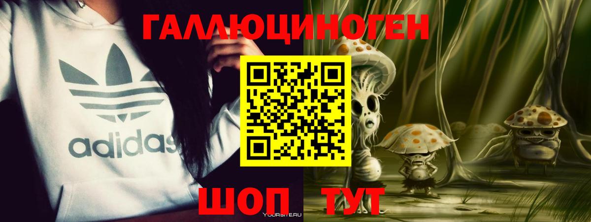 Галлюциногенные грибы прущие грибы  Вход с VPN  Тосно  Галлюциногенные грибы Cubensis 